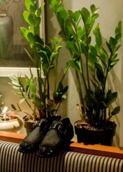 Caron CallahanNoor Monkstrap - Black Richato